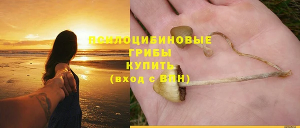 каннабис Беломорск
