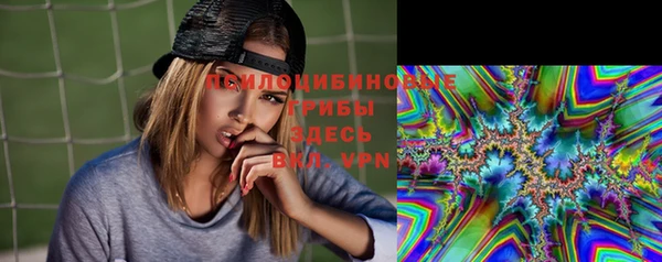 амф Богородицк